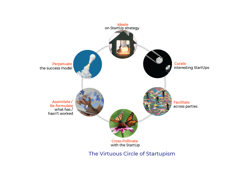 cycle of startupism